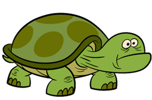 Turtle